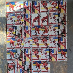 2005/06 Upperdeck Carolina Hurricanes Hockey Trading Card Collection
